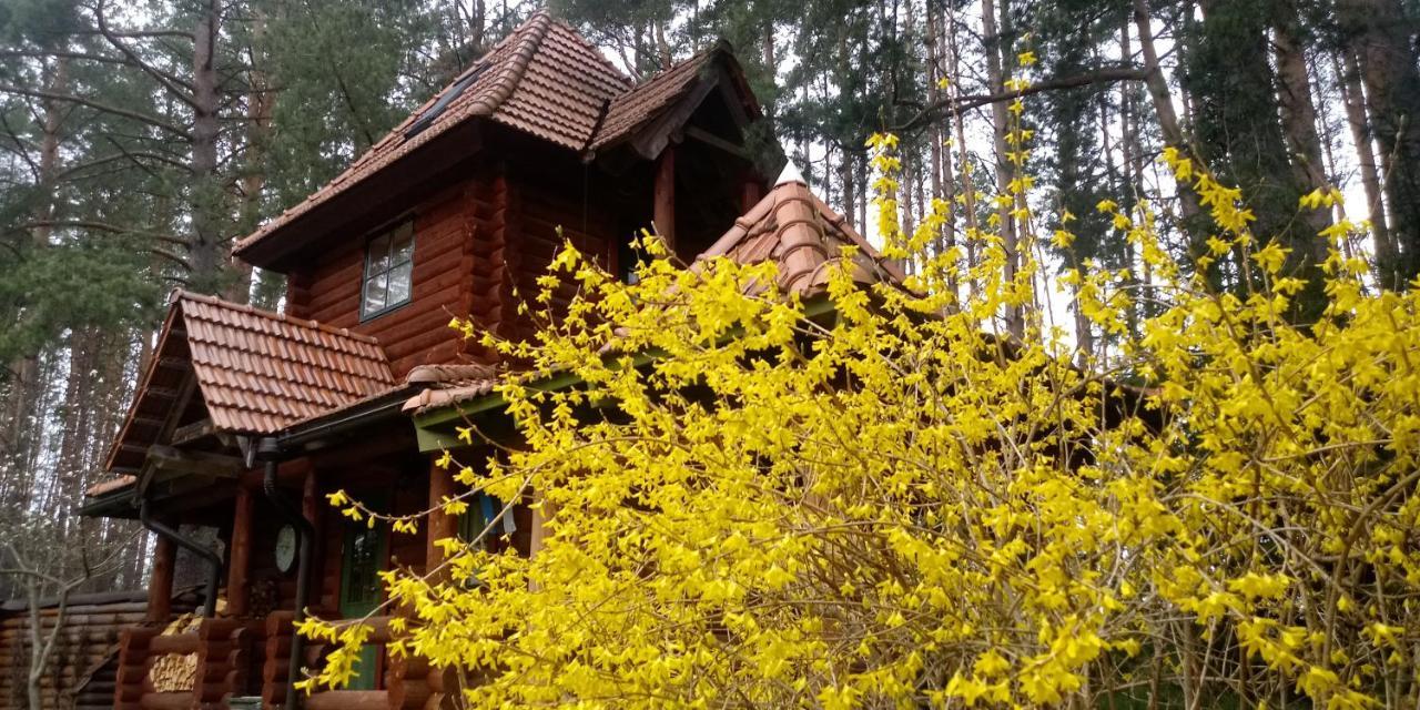 Villa Georgia Aardla Dış mekan fotoğraf