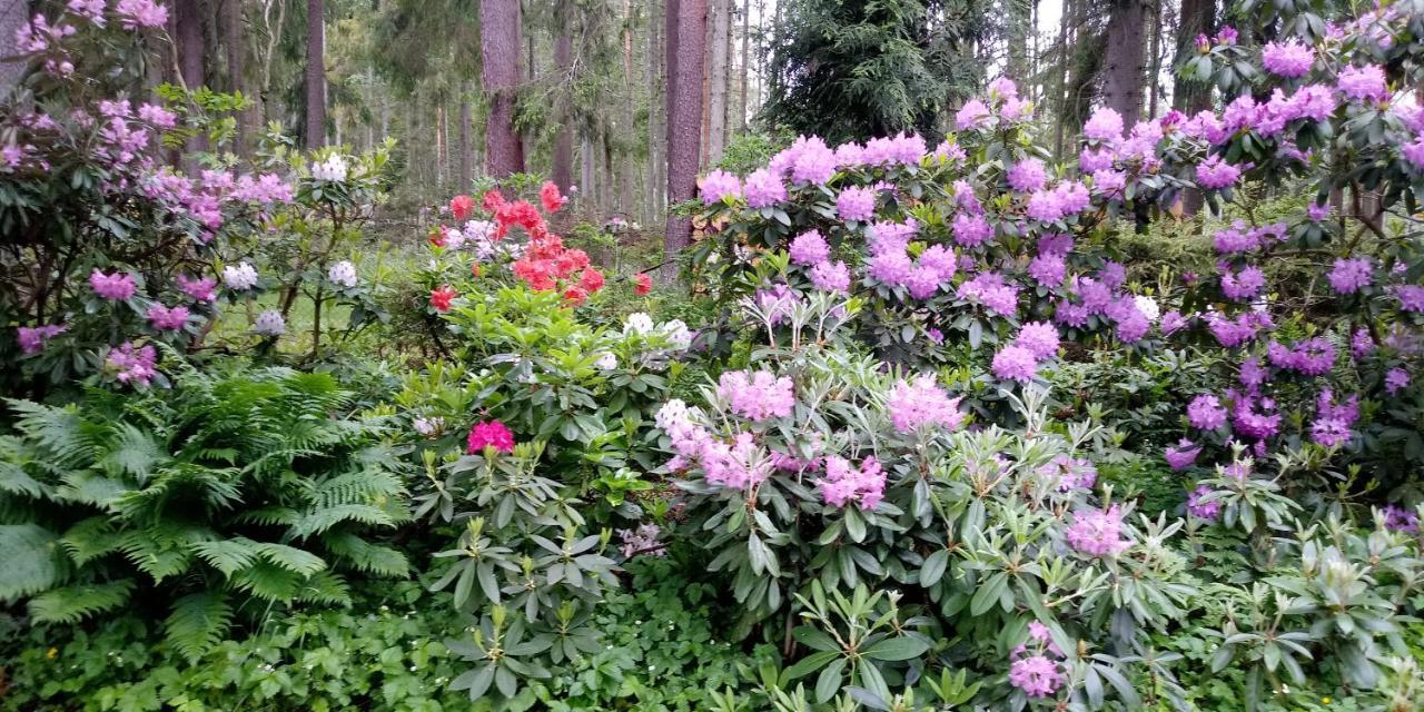 Villa Georgia Aardla Dış mekan fotoğraf